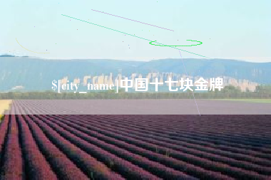 盘锦中国十七块金牌
