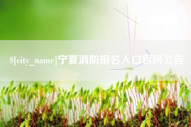 盘锦宁夏消防报名入口官网公告