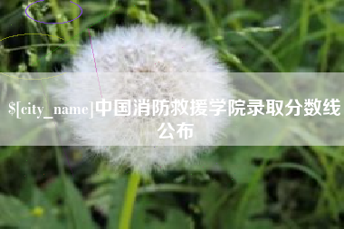 盘锦中国消防救援学院录取分数线公布