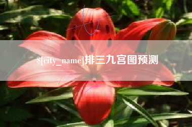 盘锦排三九宫图预测