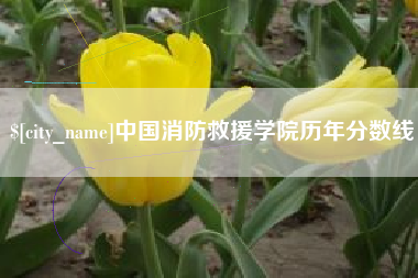 盘锦中国消防救援学院历年分数线