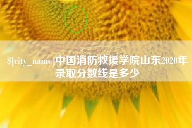 盘锦中国消防救援学院山东2020年录取分数线是多少