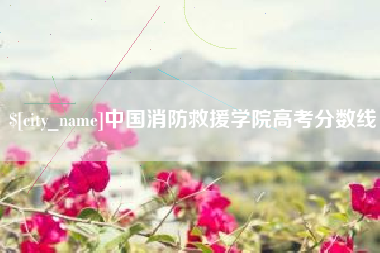 盘锦中国消防救援学院高考分数线