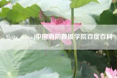 盘锦中国消防救援学院百度百科