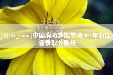 盘锦中国消防救援学院2021年浙江省录取分数线