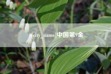 盘锦中国第9金