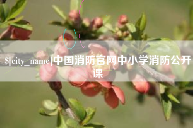 盘锦中国消防官网中小学消防公开课