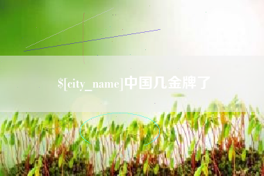 盘锦中国几金牌了