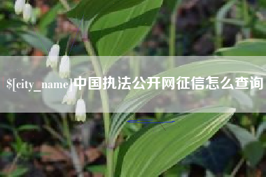 盘锦中国执法公开网征信怎么查询