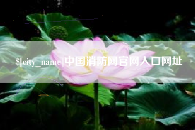 盘锦中国消防网官网入口网址
