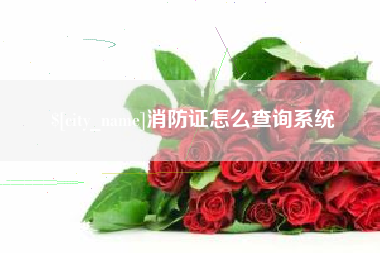 盘锦消防证怎么查询系统