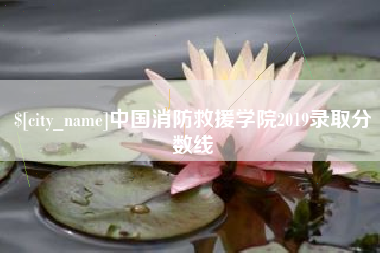 盘锦中国消防救援学院2019录取分数线