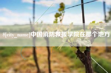 盘锦中国消防救援学院在那个地方
