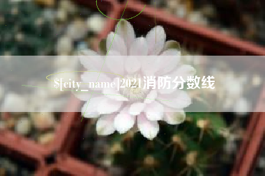 盘锦2021消防分数线