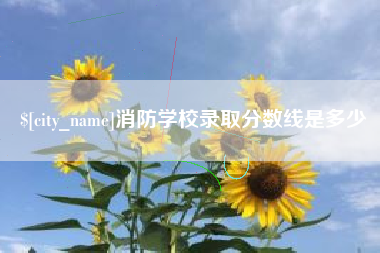 盘锦消防学校录取分数线是多少