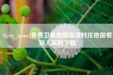 盘锦免费卫星地图高清村庄地图看到人实时下载
