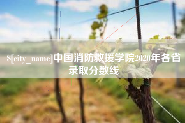盘锦中国消防救援学院2020年各省录取分数线