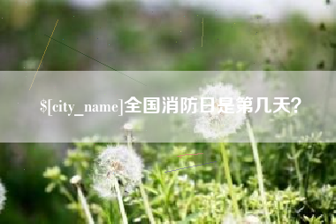 盘锦全国消防日是第几天？