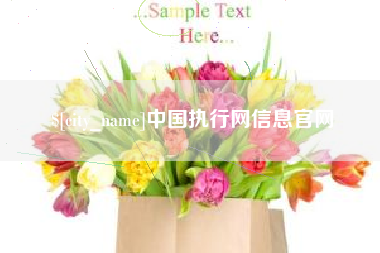 盘锦中国执行网信息官网