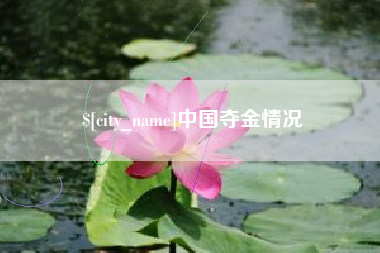 盘锦中国夺金情况