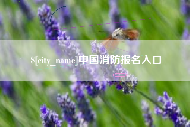 盘锦中国消防报名入口