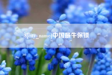 盘锦中国最牛保镖