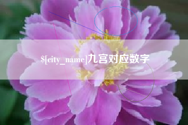盘锦九宫对应数字