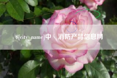 盘锦中囯消防产品信息网
