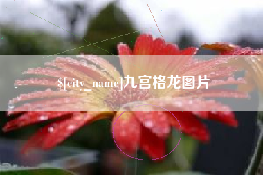 盘锦九宫格龙图片