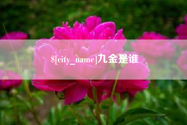 盘锦九金是谁