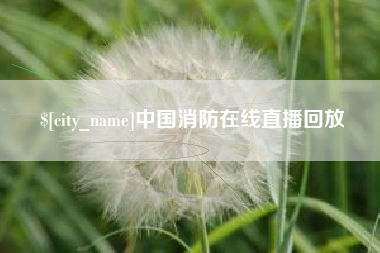 盘锦中国消防在线直播回放