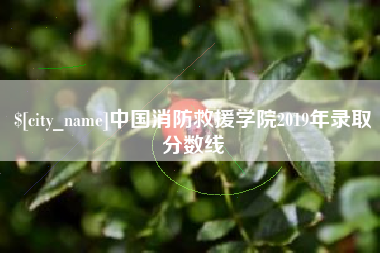 盘锦中国消防救援学院2019年录取分数线
