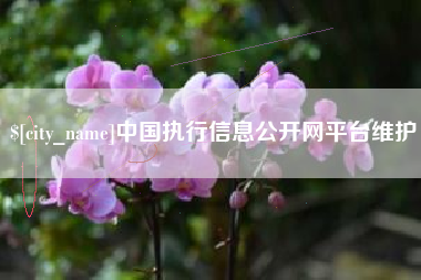 盘锦中国执行信息公开网平台维护