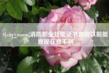 盘锦消防职业技能证书查询以前能查现在查不到