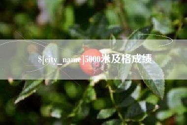 盘锦5000米及格成绩