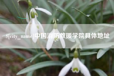盘锦中国消防救援学院具体地址