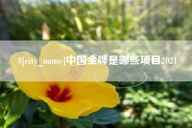 盘锦中国金牌是哪些项目2021