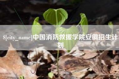 盘锦中国消防救援学院安徽招生计划