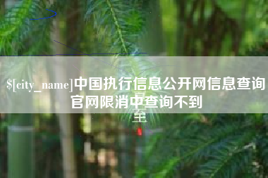 盘锦中国执行信息公开网信息查询官网限消中查询不到