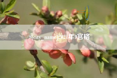 盘锦2021年9宫格