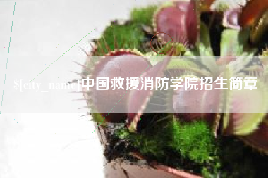 盘锦中国救援消防学院招生简章