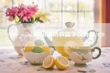 盘锦中国消防救援学院分数2020