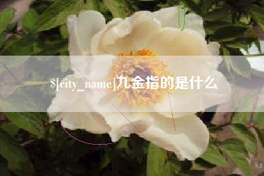 盘锦九金指的是什么