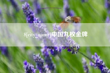盘锦中国九枚金牌