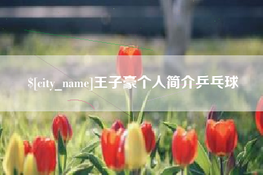 盘锦王子豪个人简介乒乓球