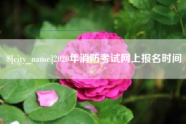 盘锦2020年消防考试网上报名时间