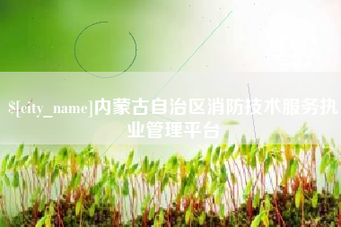 盘锦内蒙古自治区消防技术服务执业管理平台