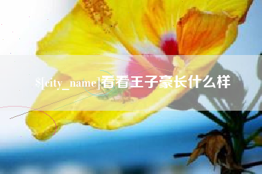 盘锦看看王子豪长什么样