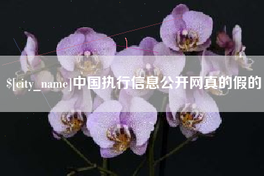 盘锦中国执行信息公开网真的假的