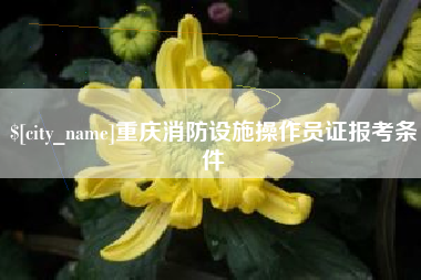 盘锦重庆消防设施操作员证报考条件
